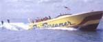 clearwater screamer